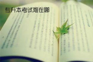 真正的考验,挑战极限，见证成长