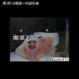 告诉我你想要什么,人工智能引领创新浪潮